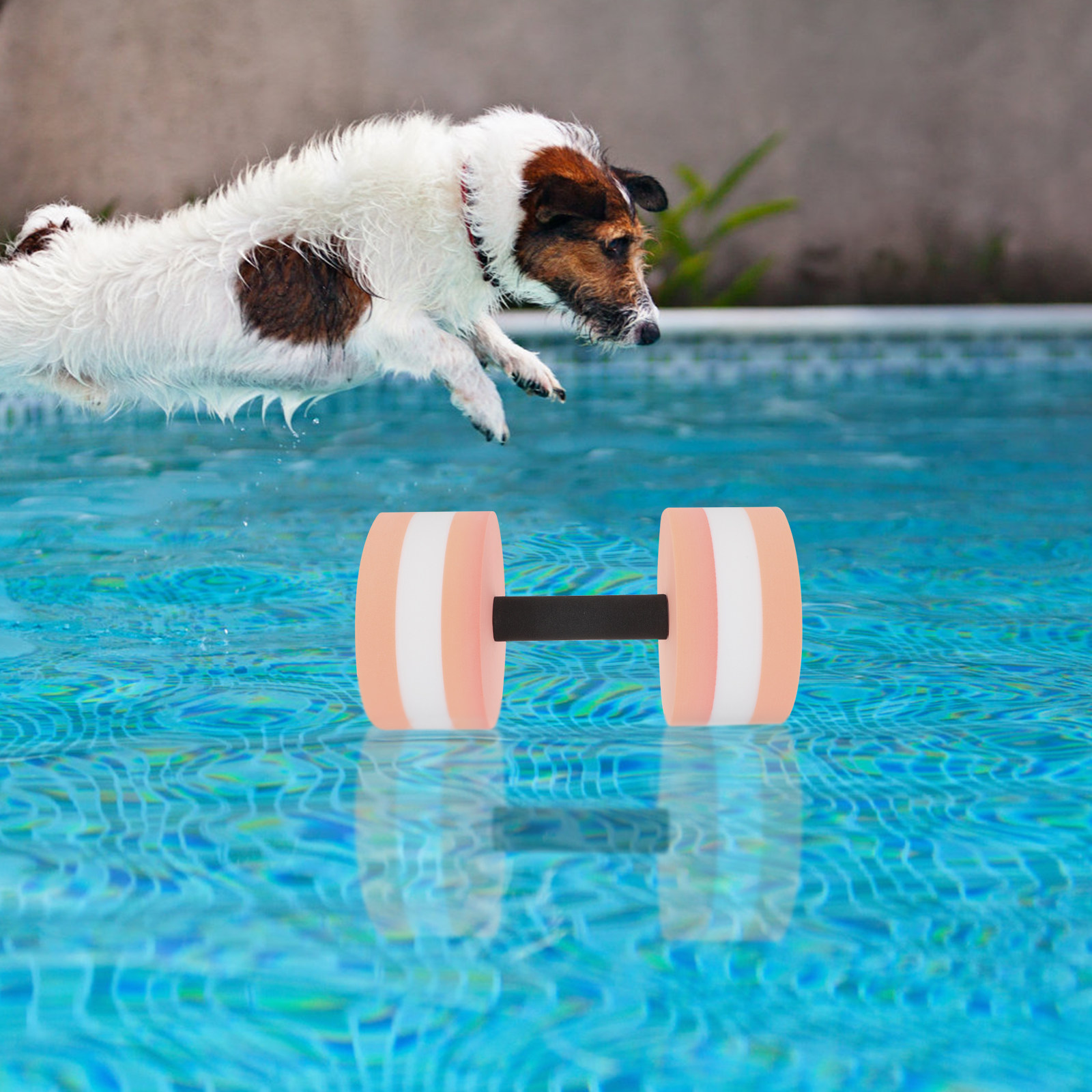 2Pcs Interactive Water Dumbbel - Aquatic Diving のレビューと価格